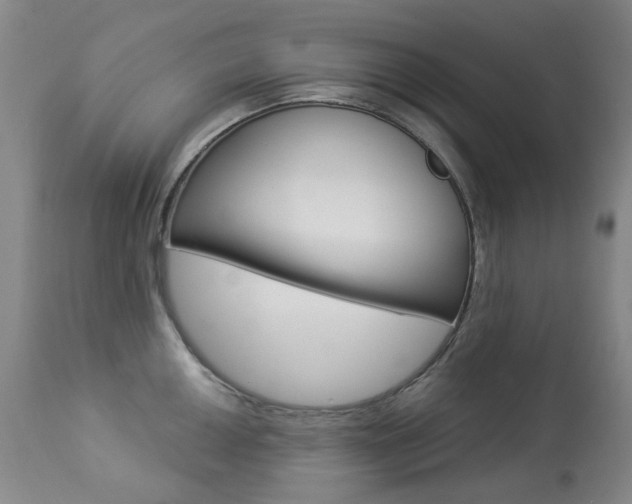X0000113921050200909241325