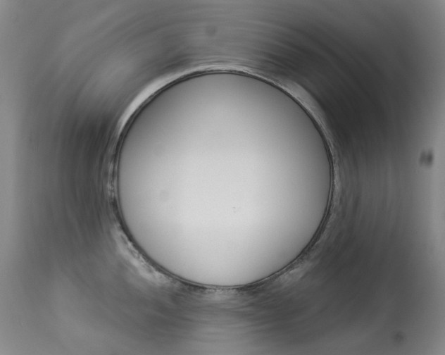X0000113921052200909241325