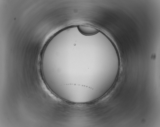 X0000113921053200909241325