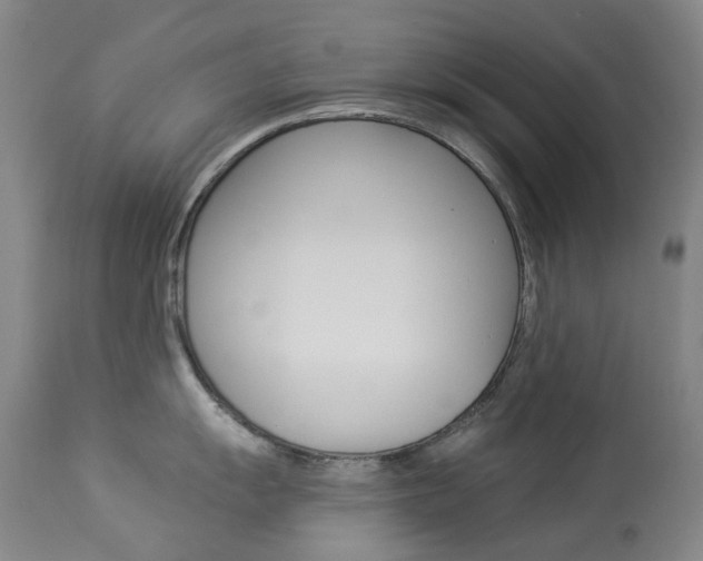 X0000113921055200909241325