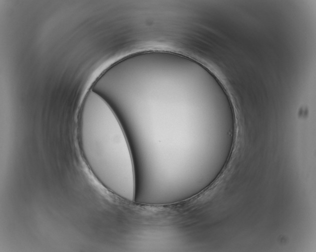 X0000113921056200909241325