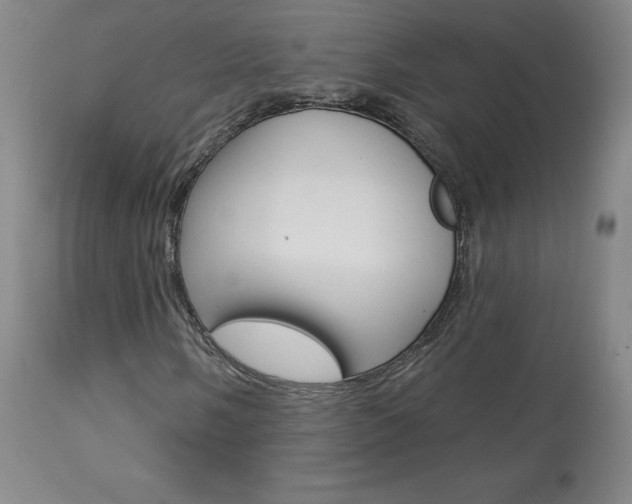X0000113921058200909241324