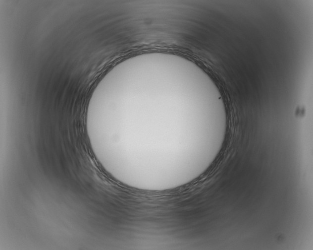 X0000113921060200909241324