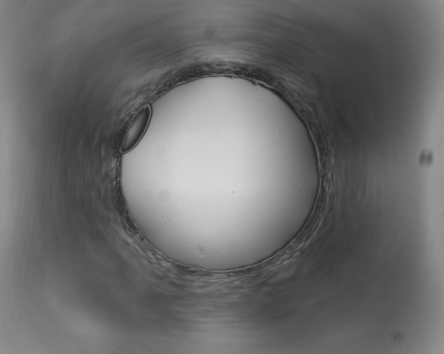 X0000113921061200909241324