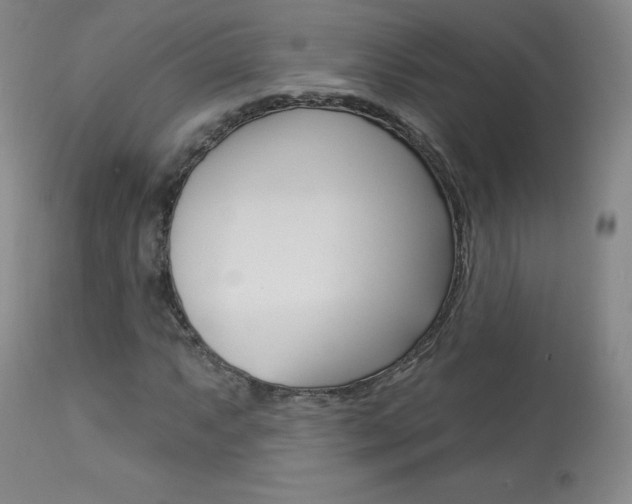X0000113921063200909241324