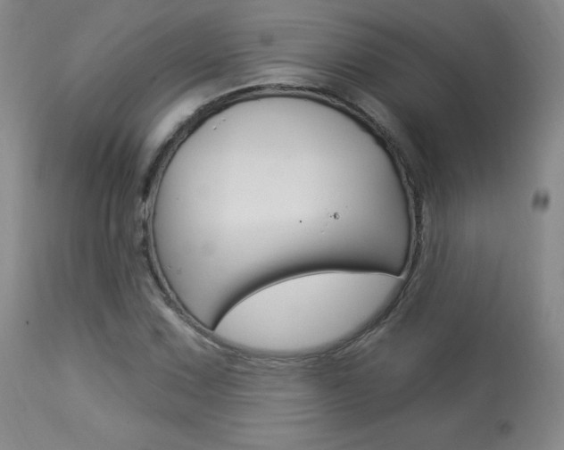 X0000113921067200909241324