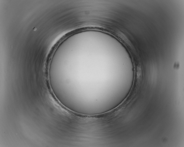 X0000113921068200909241324