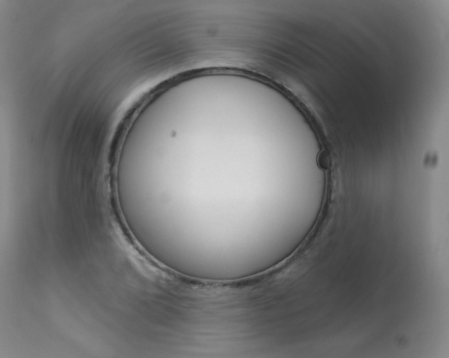 X0000113921072200909241324