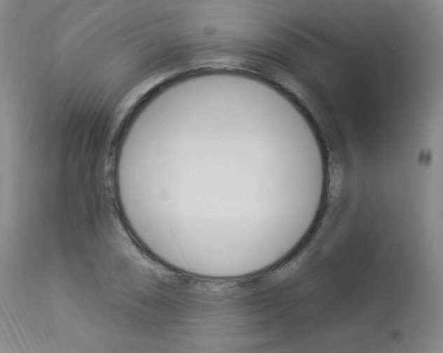 X0000113921074200909241324
