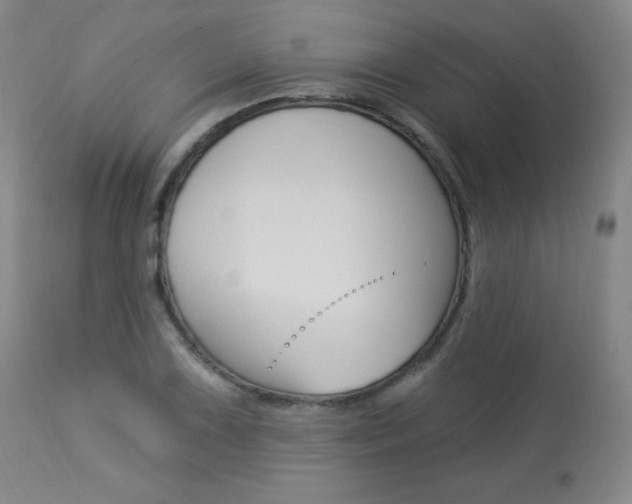 X0000113921075200909241324