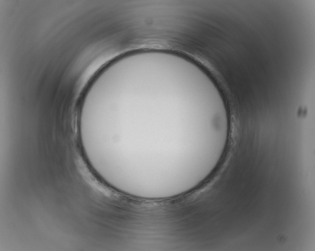 X0000113921078200909241324