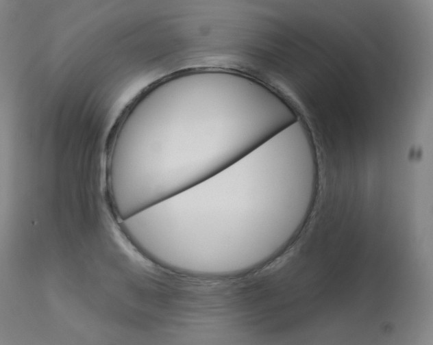 X0000113921079200909241324