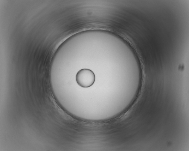 X0000113921081200909241324
