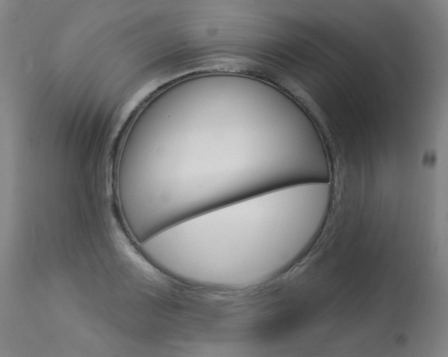 X0000113921083200909241324