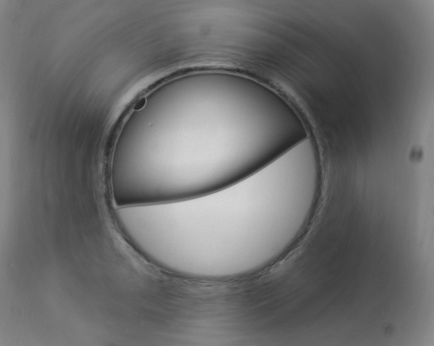 X0000113921085200909241324