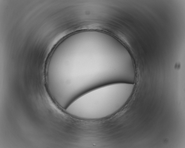 X0000113921087200909241324