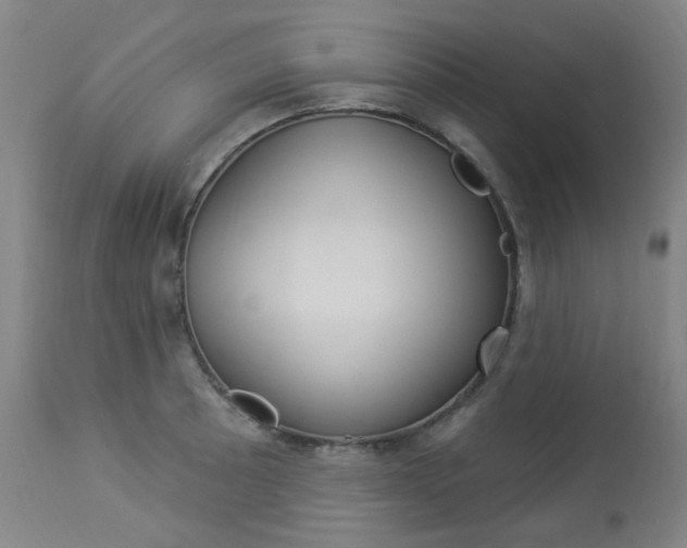 X0000113921089200909241324