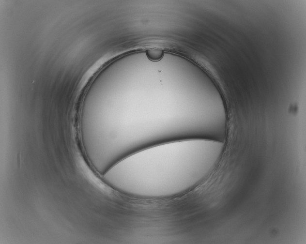 X0000113921091200909241324