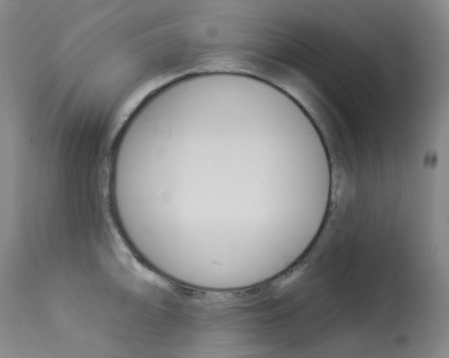 X0000113921094200909241323