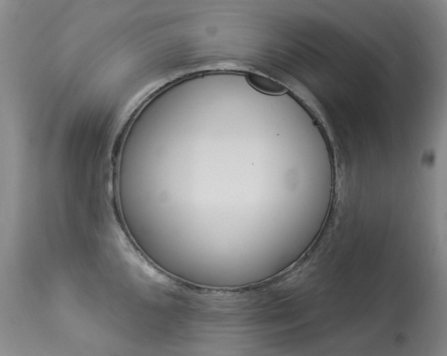 X0000113921096200909241323