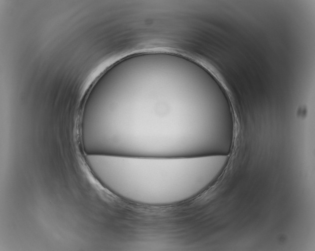 X0000113921101200909241323