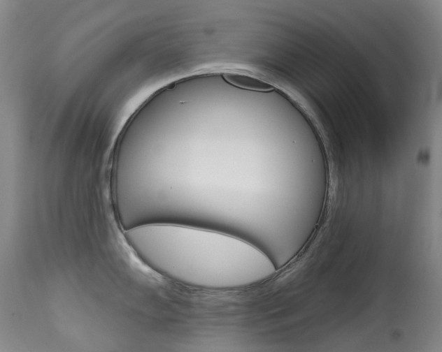 X0000113921102200909241323