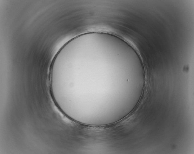 X0000113921103200909241323
