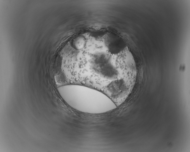 X0000113921105200909241322