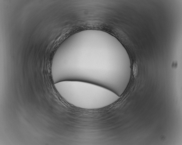 X0000113921107200909241323