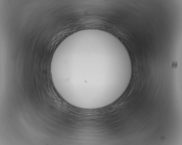 X0000113921108200909241323