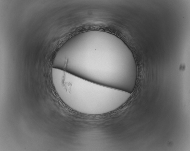 X0000113921109200909241323