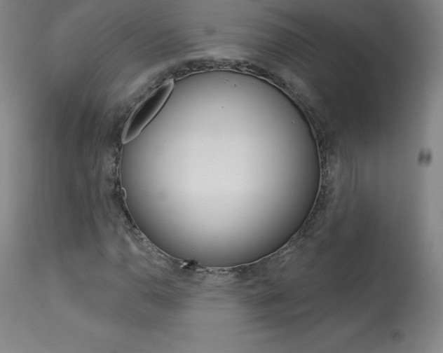 X0000113921110200909241323