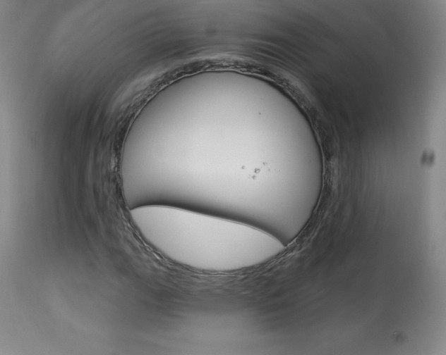 X0000113921111200909241323