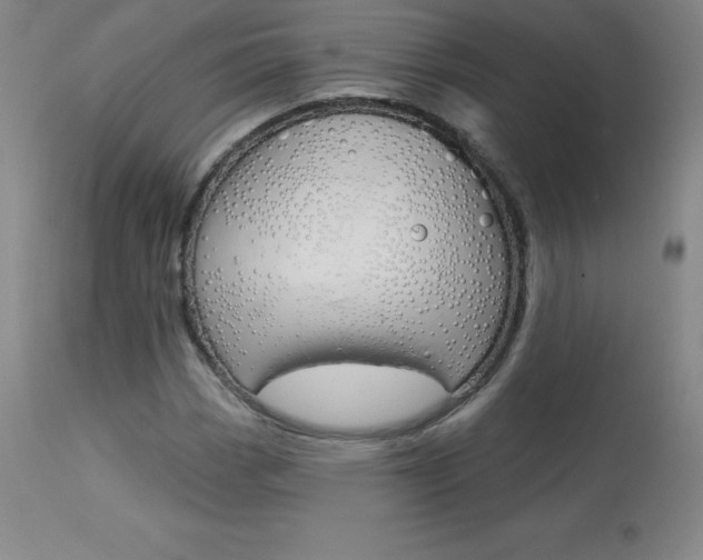 X0000113921113200909241323