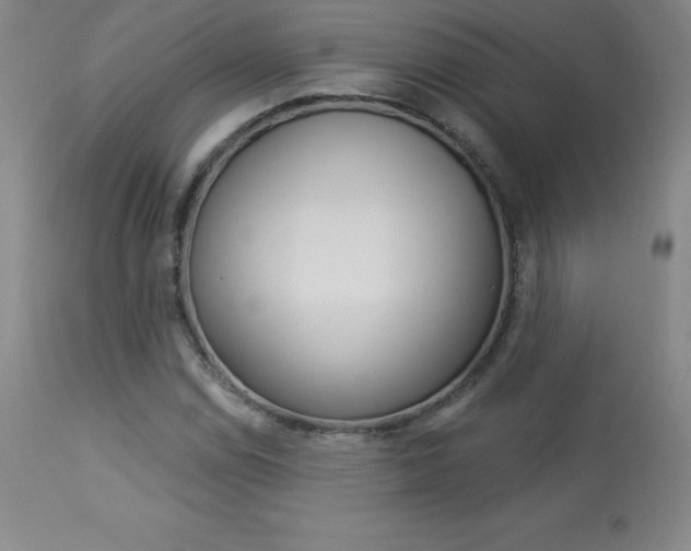 X0000113921114200909241323