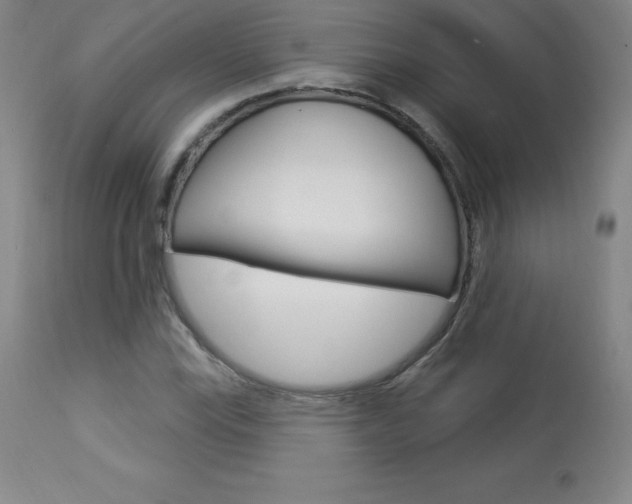 X0000113921115200909241323