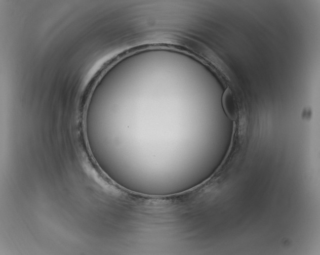 X0000113921116200909241323