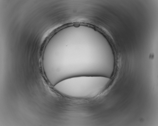 X0000113921117200909241323
