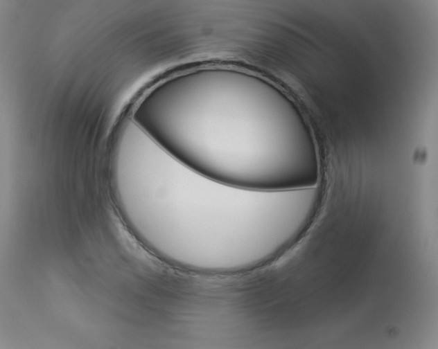 X0000113921118200909241323