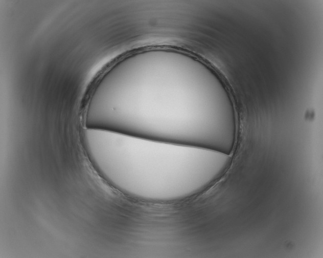 X0000113921119200909241323