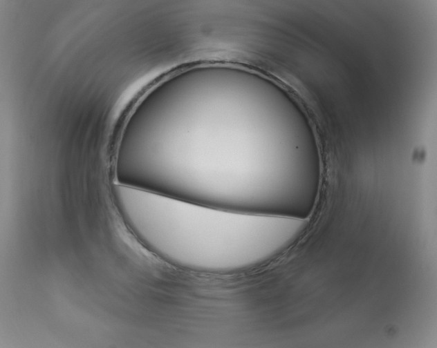 X0000113921120200909241323