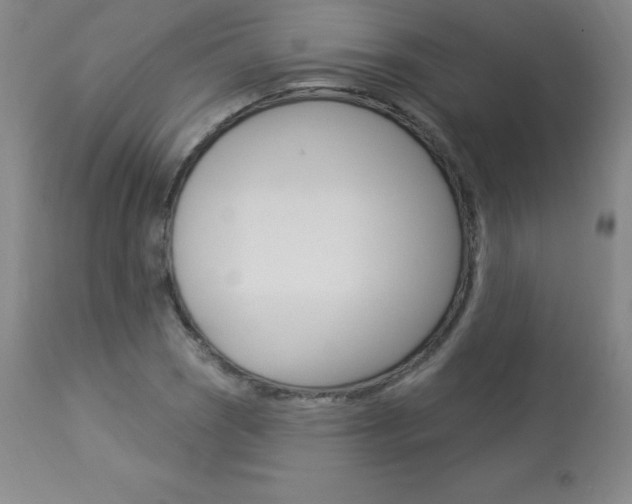 X0000113921121200909241323