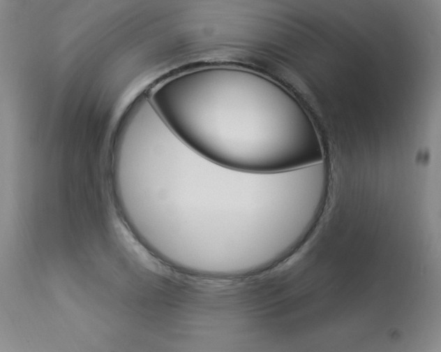 X0000113921122200909241323