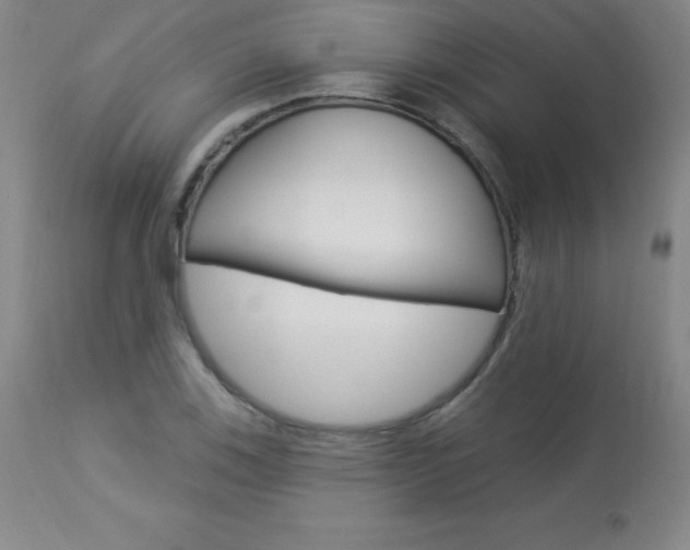 X0000113921123200909241323