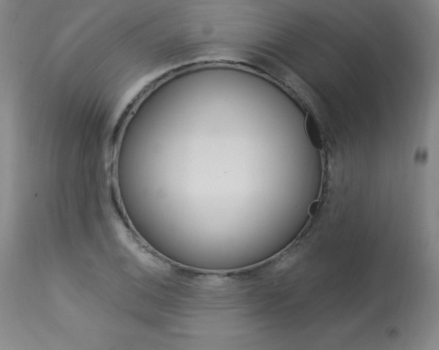 X0000113921124200909241323