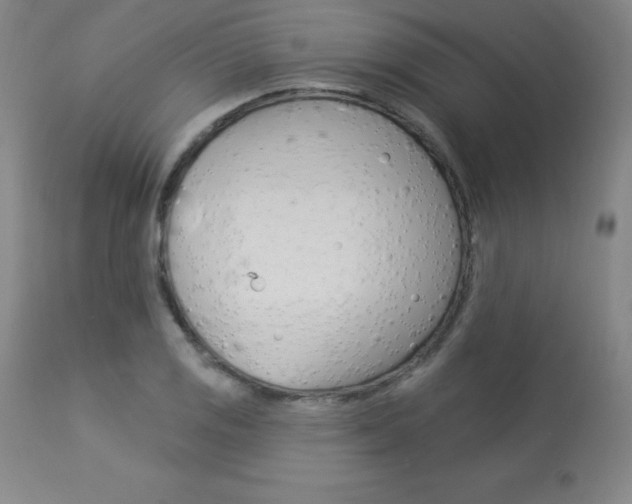 X0000113921125200909241323
