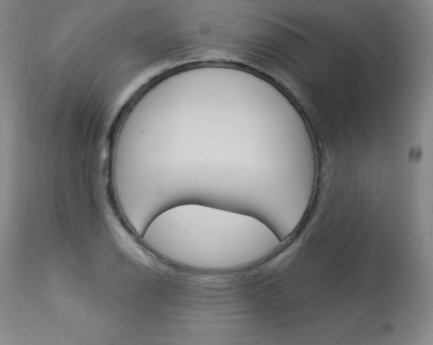 X0000113921126200909241323