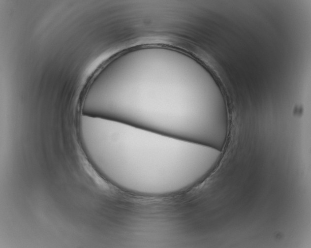 X0000113921127200909241323