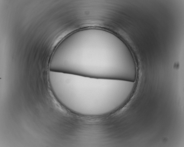X0000113921129200909241323