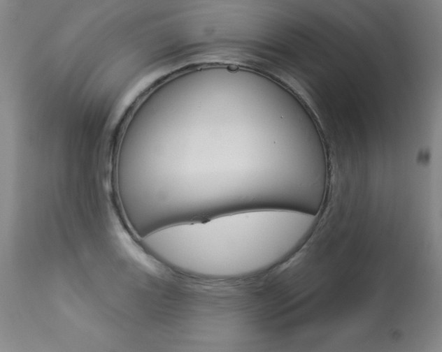 X0000113921131200909241323